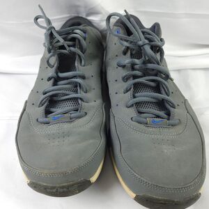 Nike Mens 11.5 Gray Air‎ ZOOM HOOP LE LOW STEVE NASH Basketball Shoes 318854-041